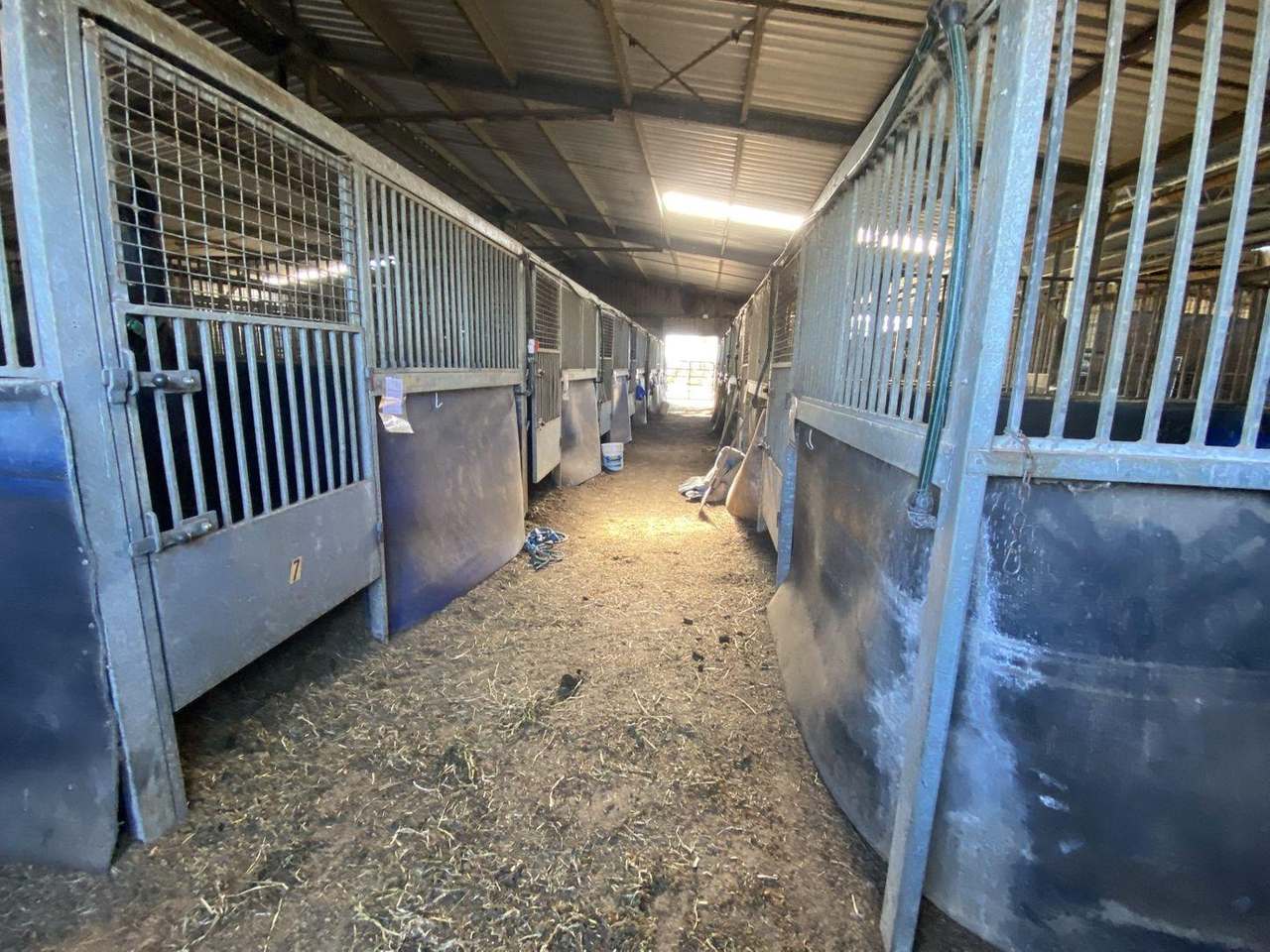 380 Bidgeeribbin Road, Bathurst For Sale by Farmbuy.com - image 6
