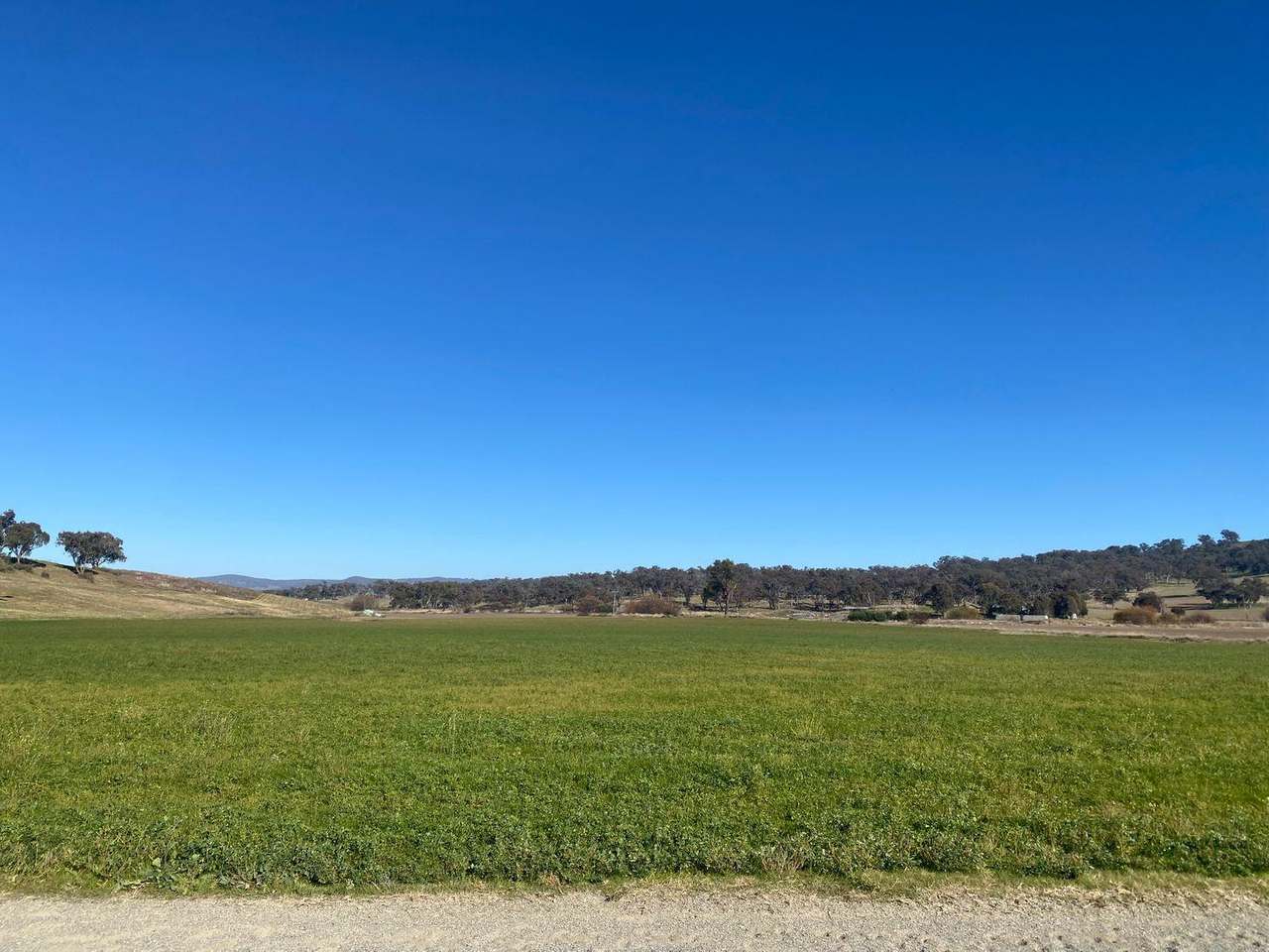 380 Bidgeeribbin Road, Bathurst For Sale by Farmbuy.com - image 8