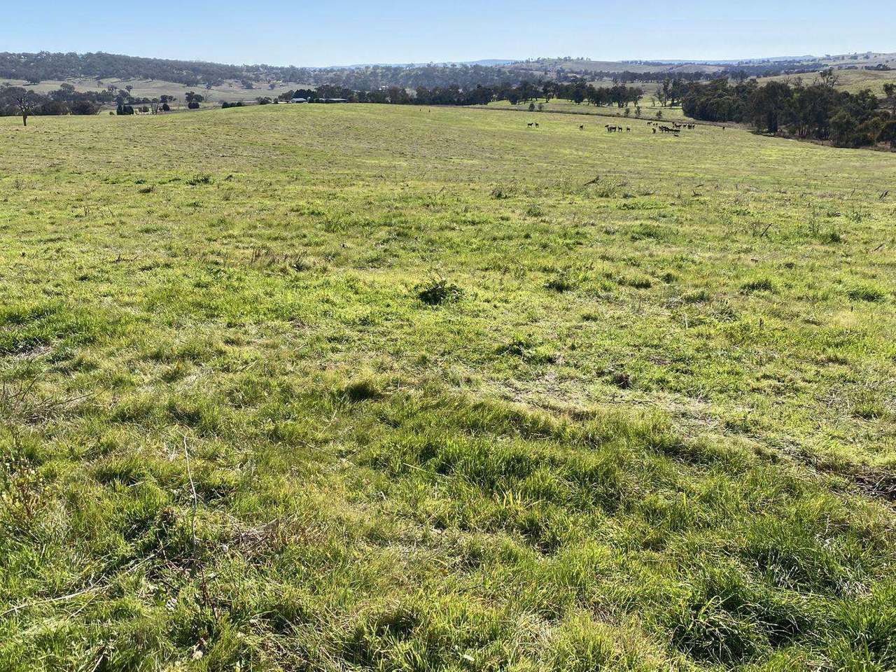 380 Bidgeeribbin Road, Bathurst For Sale by Farmbuy.com - image 31