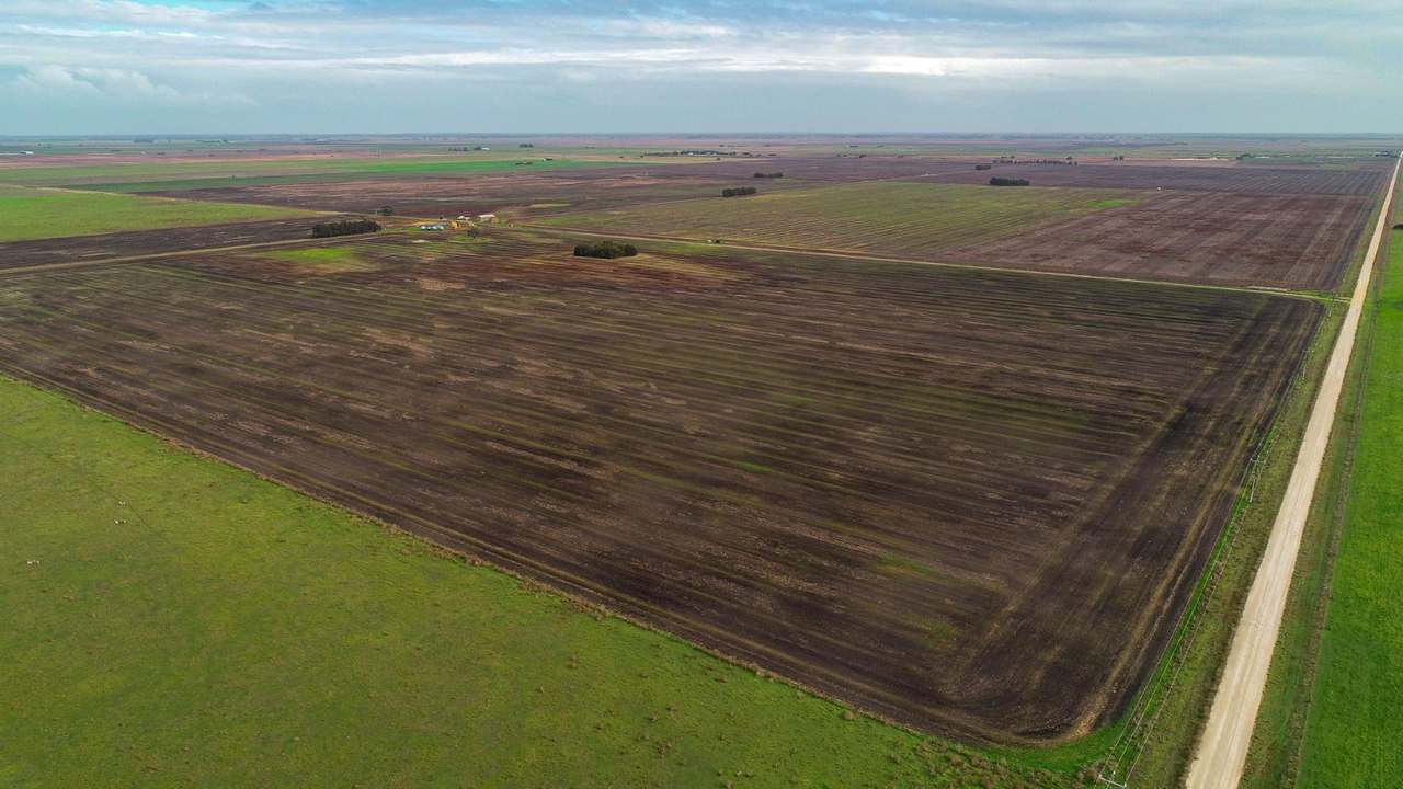 "Brogans" Wardles Road, Naracoorte Sold by Farmbuy.com - image 14