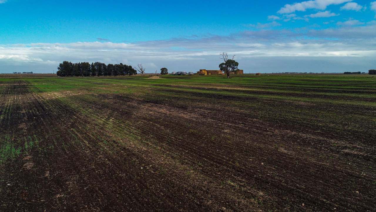 "Brogans" Wardles Road, Naracoorte Sold by Farmbuy.com - image 16