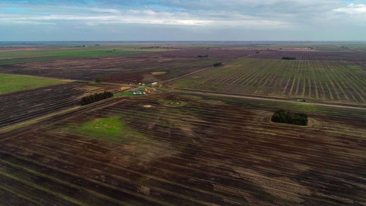 "Brogans" Wardles Road, Naracoorte Sold by Farmbuy.com - image 17