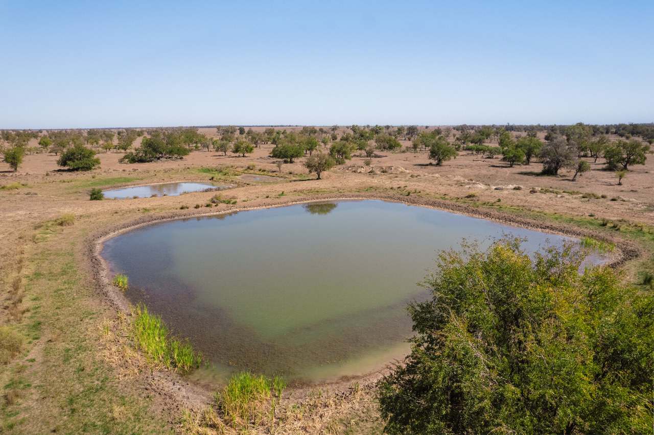 996 Surat Development Road, Surat Sold by Farmbuy.com - image 15