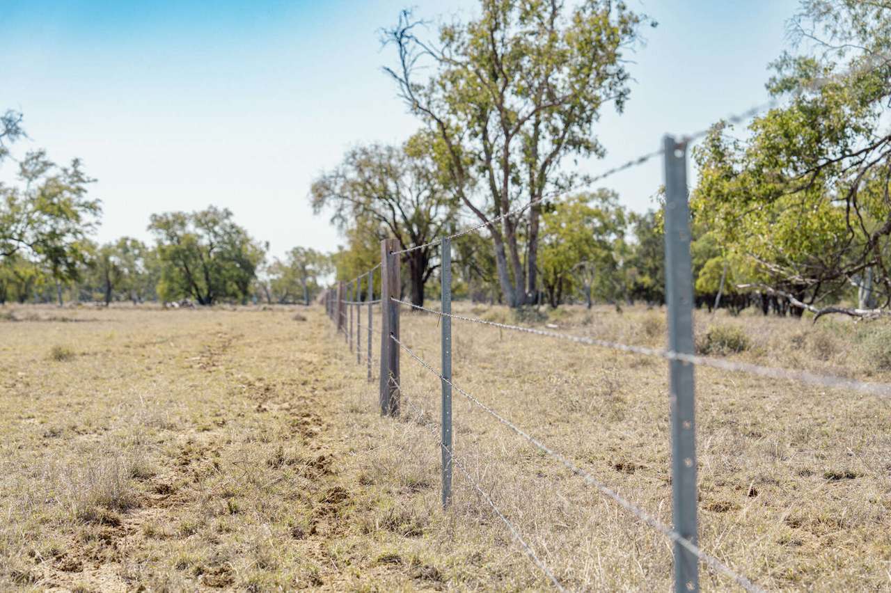 996 Surat Development Road, Surat Sold by Farmbuy.com - image 23