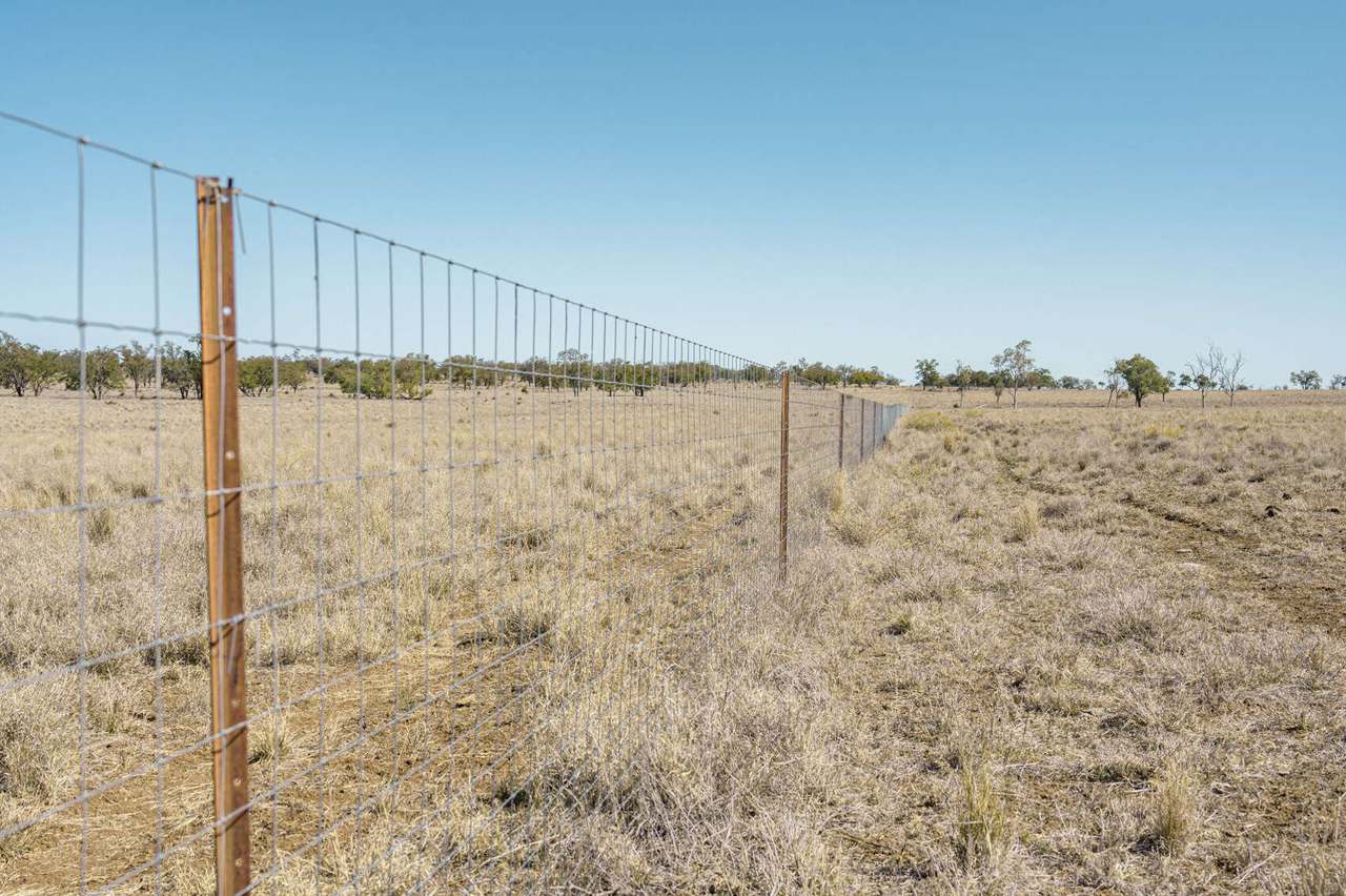 996 Surat Development Road, Surat Sold by Farmbuy.com - image 22