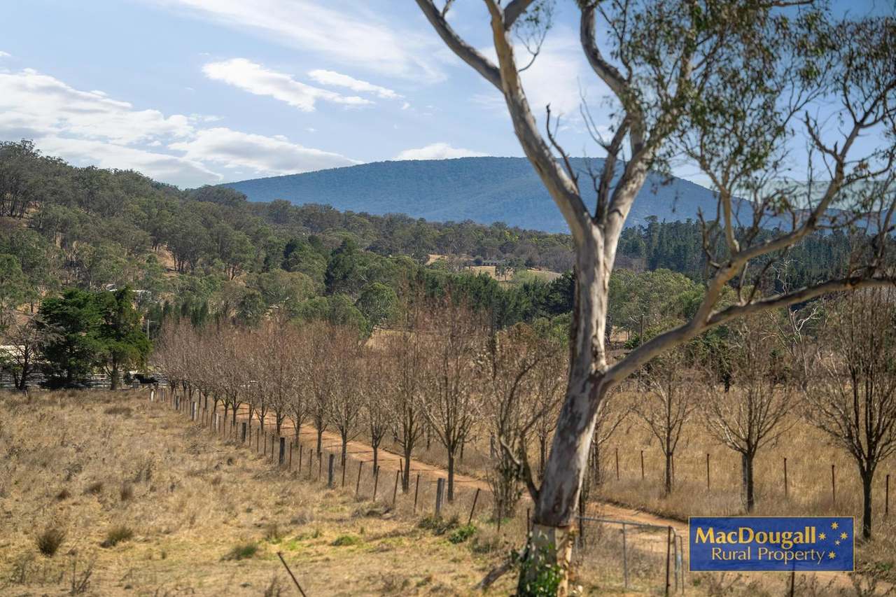 50 Hillards Road, Armidale Sold by Farmbuy.com - image 19