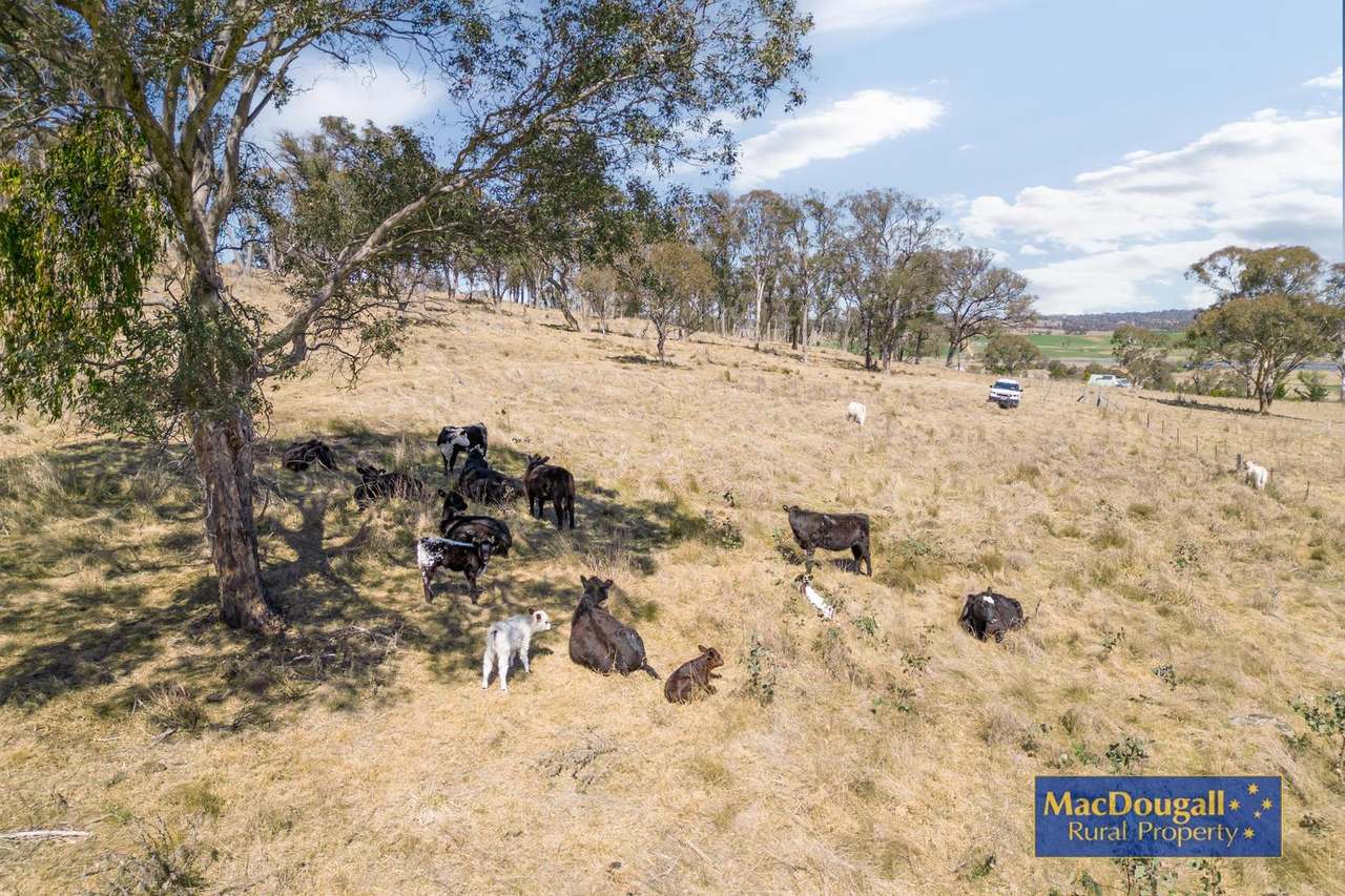 50 Hillards Road, Armidale Sold by Farmbuy.com - image 22