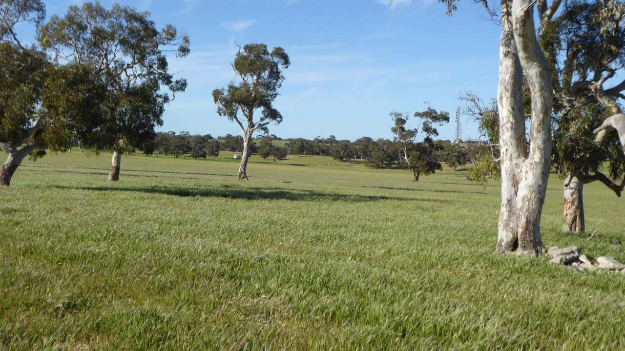 "Old Coonalpyn Homestead" 1349 Heinrich Road, Culburra Sold by Farmbuy.com - image 11