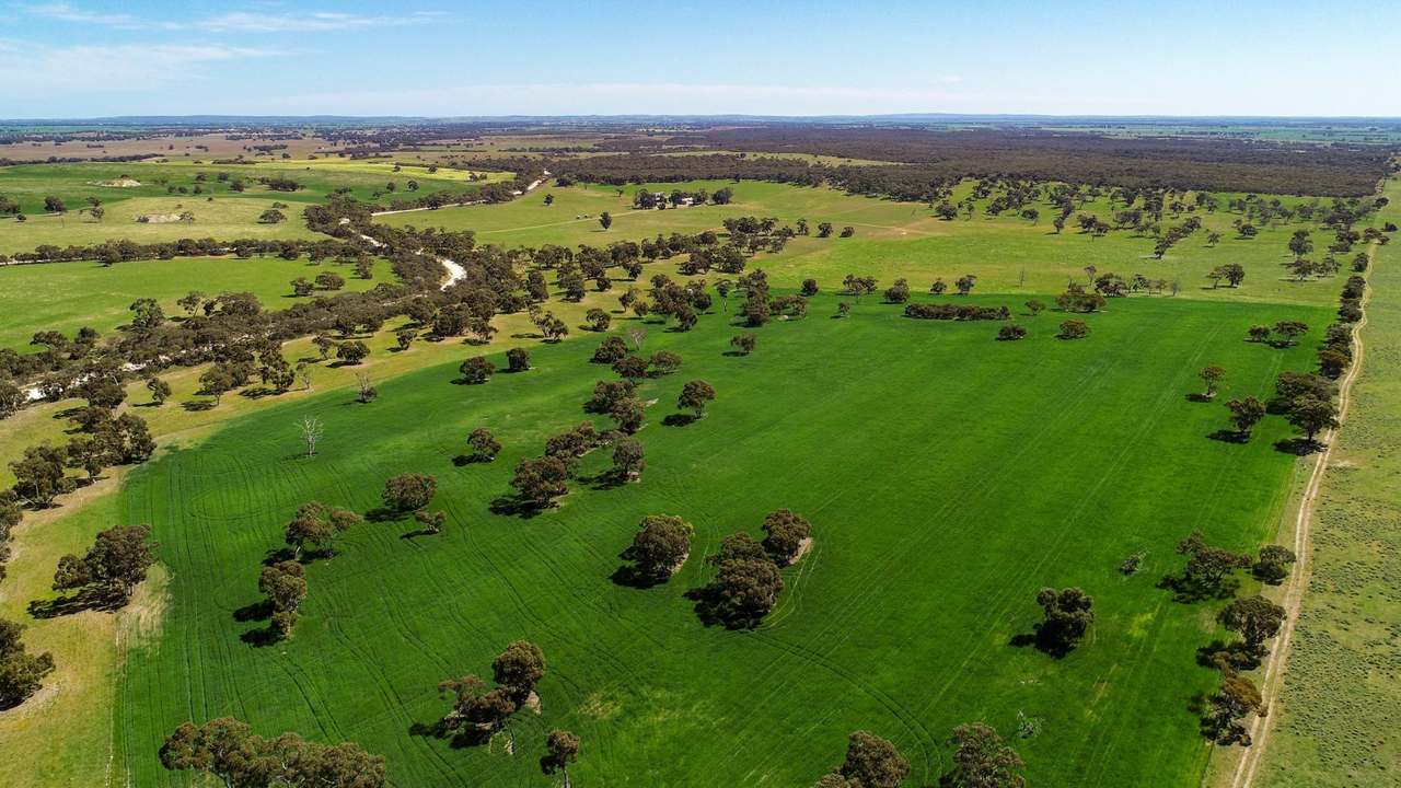 "Old Coonalpyn Homestead" 1349 Heinrich Road, Culburra Sold by Farmbuy.com - image 7