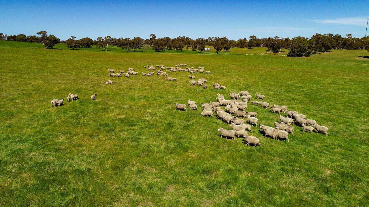 "Old Coonalpyn Homestead" 1349 Heinrich Road, Culburra Sold by Farmbuy.com - image 8
