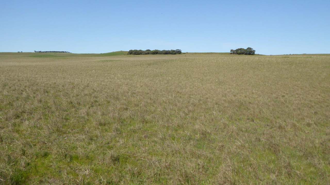 "Mickans" 882 Field Road, Field Sold by Farmbuy.com - image 2