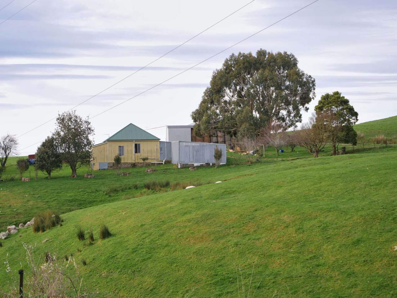 158 Lees Road, Western Creek For Sale by Farmbuy.com - image 14
