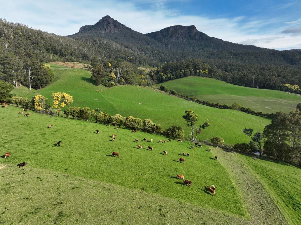 158 Lees Road, Western Creek For Sale by Farmbuy.com - image 2