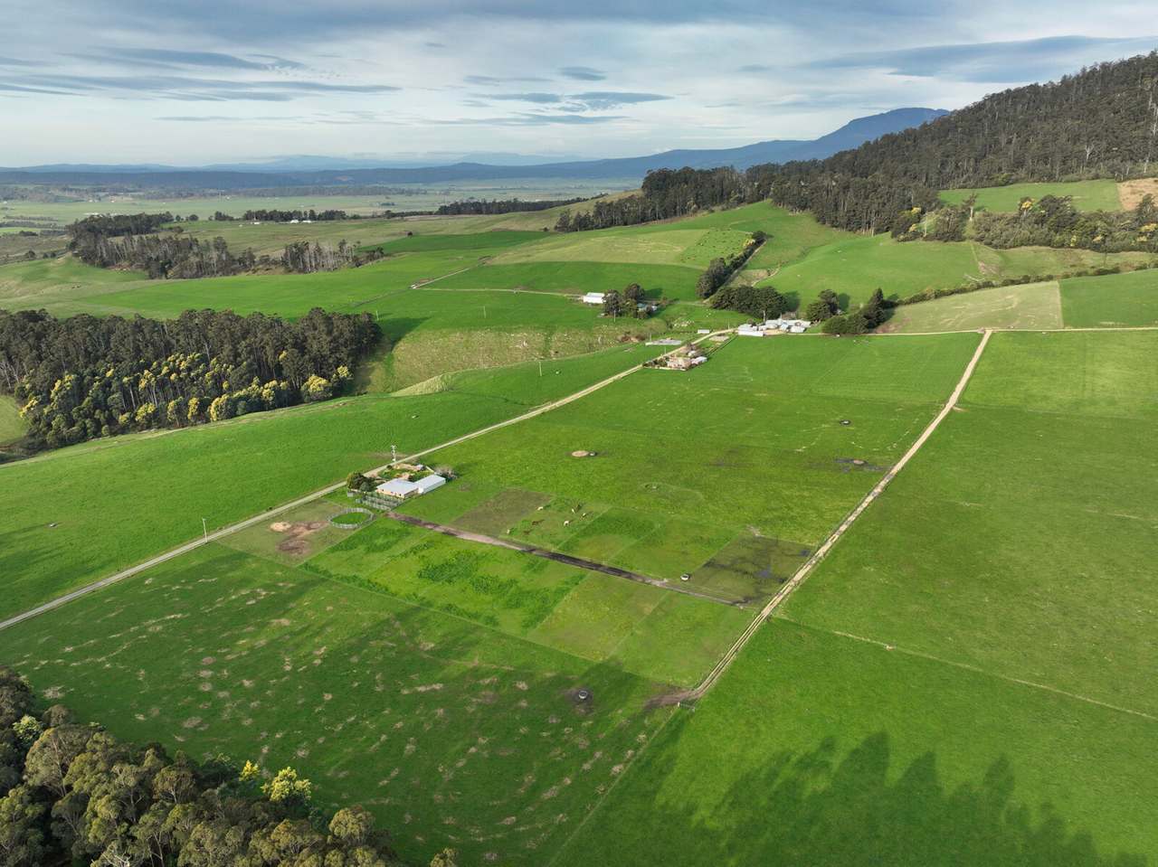 158 Lees Road, Western Creek For Sale by Farmbuy.com - image 6