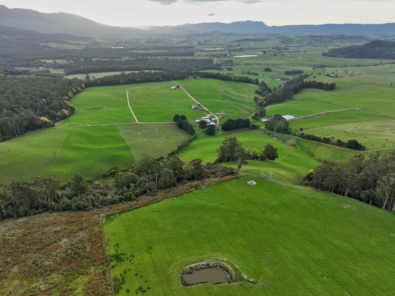 158 Lees Road, Western Creek For Sale by Farmbuy.com - image 5