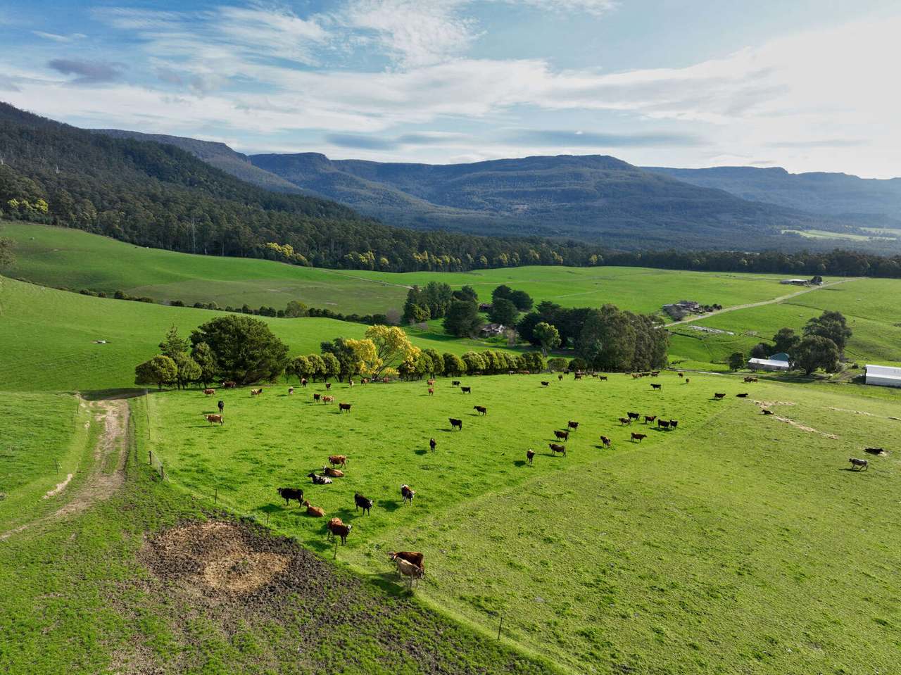 158 Lees Road, Western Creek For Sale by Farmbuy.com - image 3