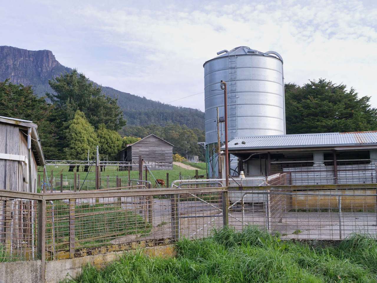 158 Lees Road, Western Creek For Sale by Farmbuy.com - image 11