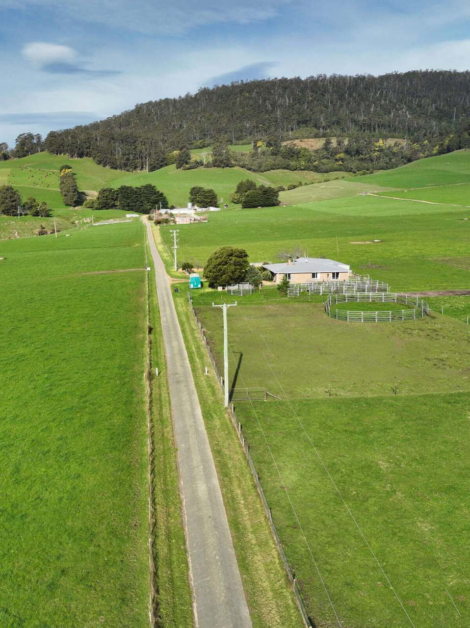 158 Lees Road, Western Creek For Sale by Farmbuy.com - image 16