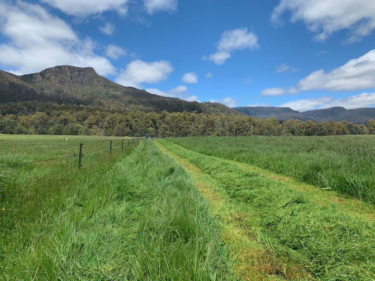 158 Lees Road, Western Creek For Sale by Farmbuy.com - image 7