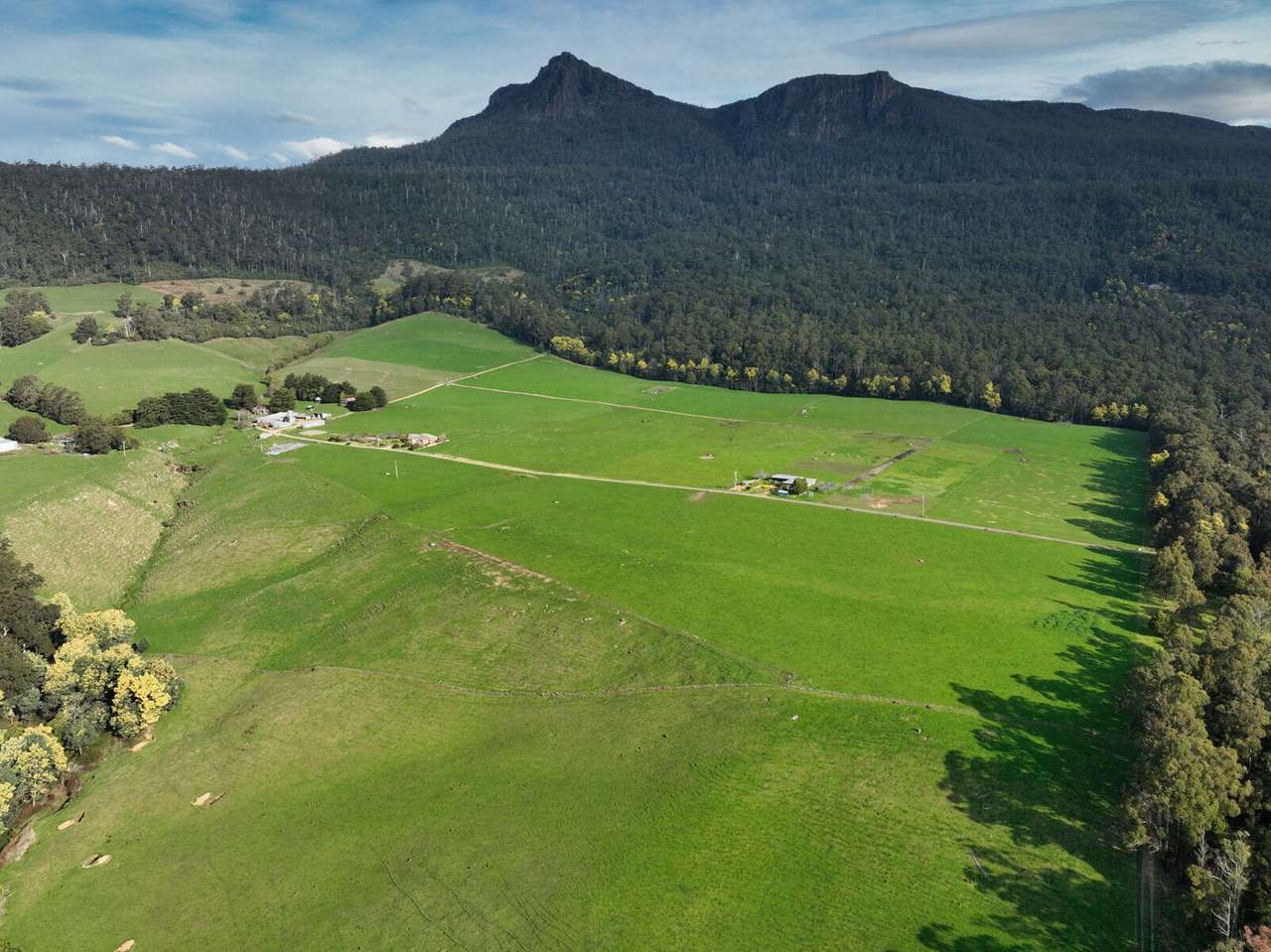 158 Lees Road, Western Creek For Sale by Farmbuy.com - image 4