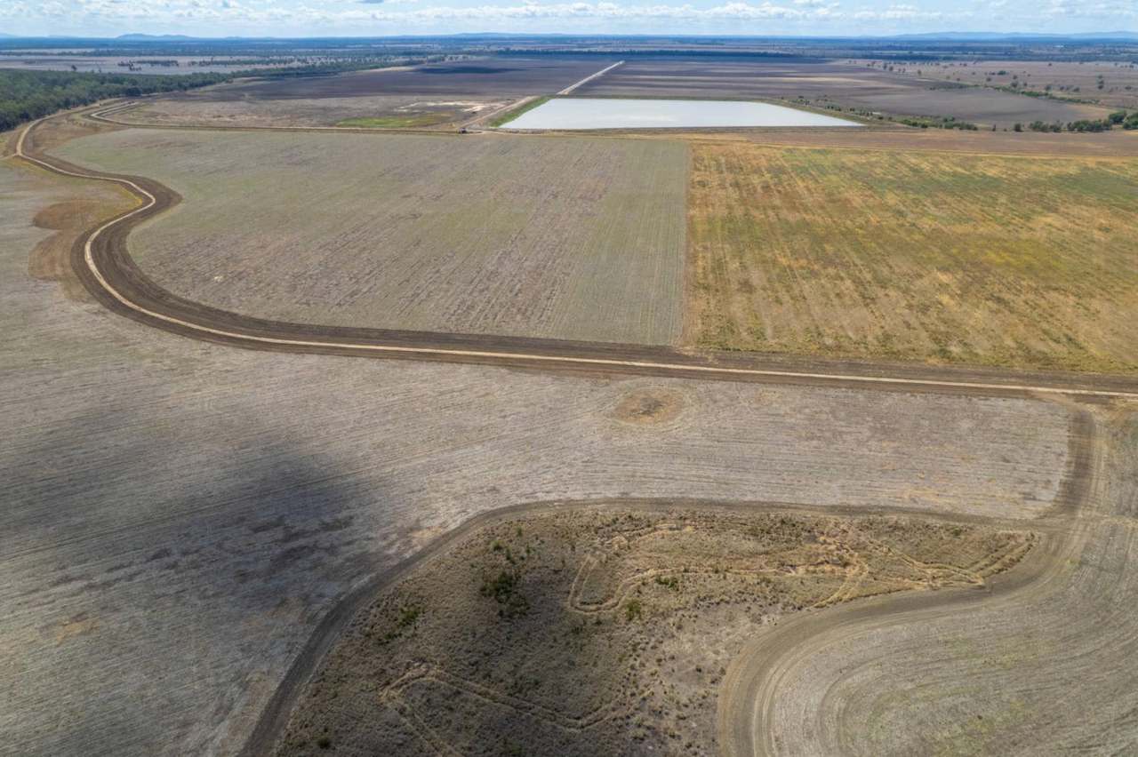 Kelinda, Moura For Sale by Farmbuy.com - image 16