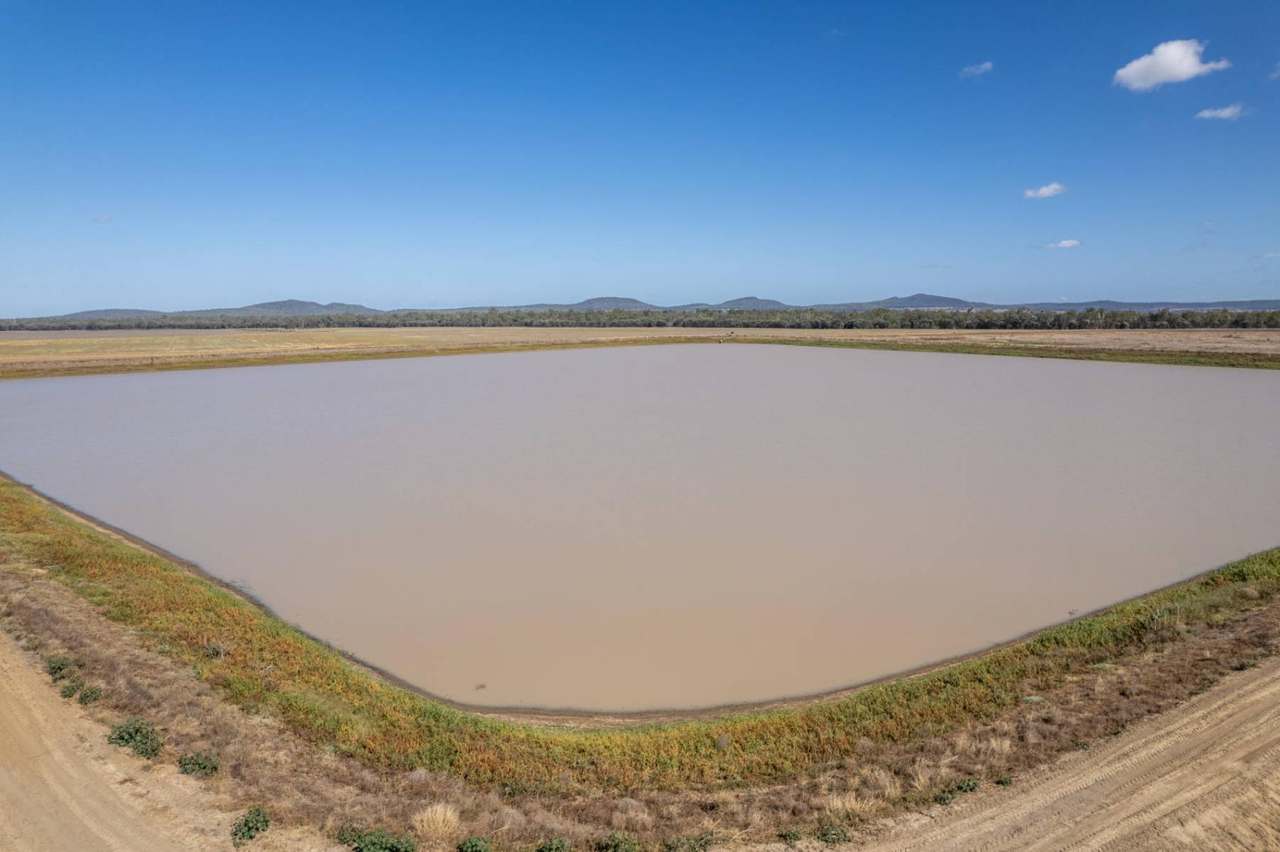 Kelinda, Moura For Sale by Farmbuy.com - image 17