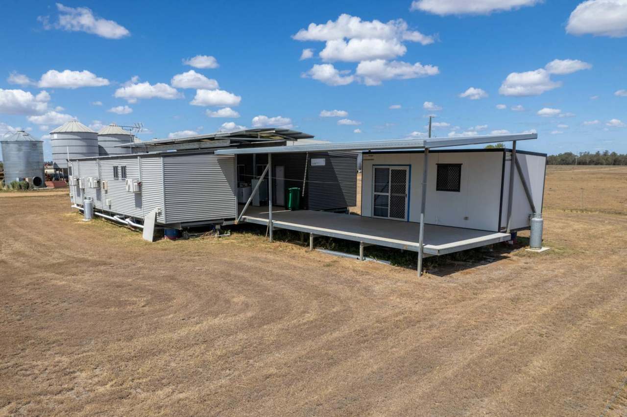 Kelinda, Moura For Sale by Farmbuy.com - image 32