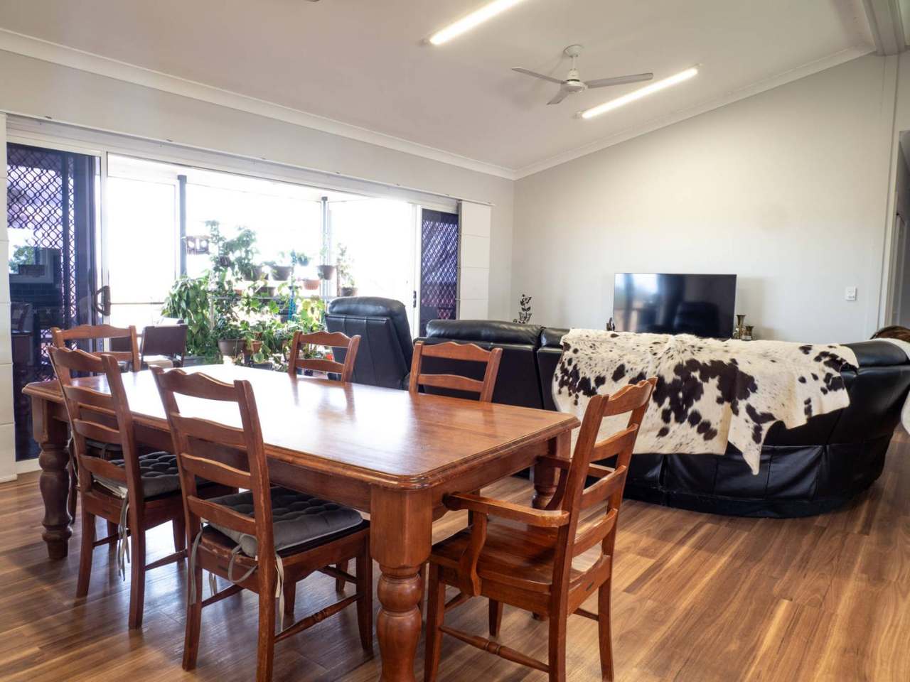 Kelinda, Moura For Sale by Farmbuy.com - image 28