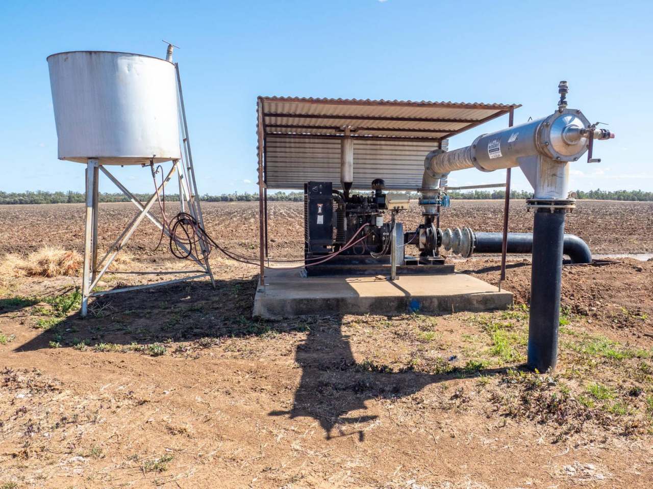 Kelinda, Moura For Sale by Farmbuy.com - image 23