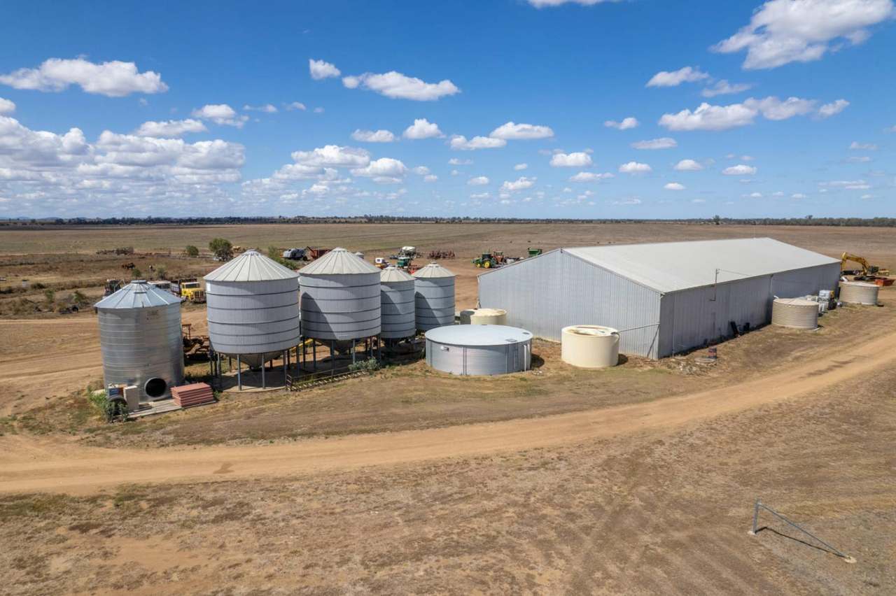 Kelinda, Moura For Sale by Farmbuy.com - image 33