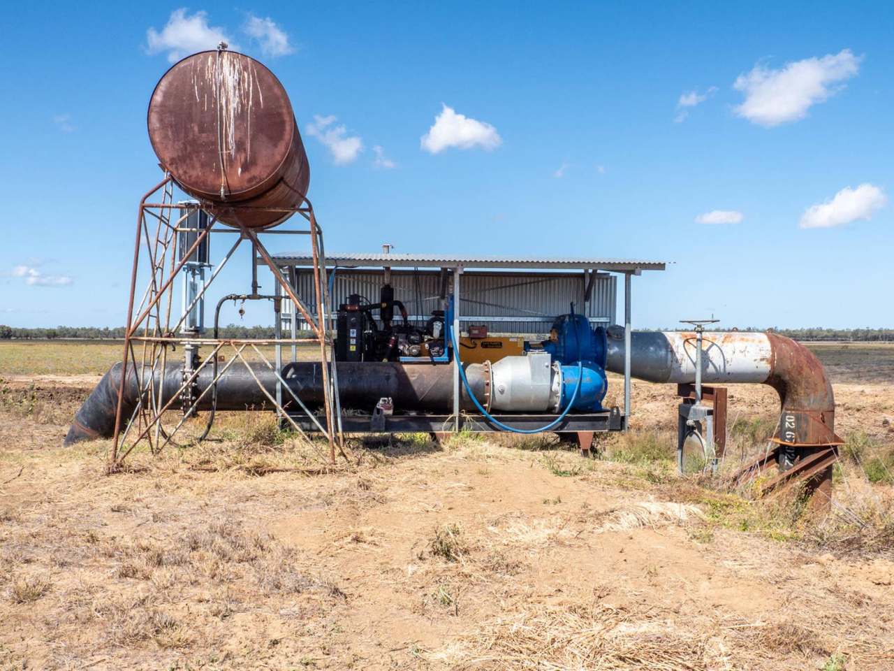Kelinda, Moura For Sale by Farmbuy.com - image 26