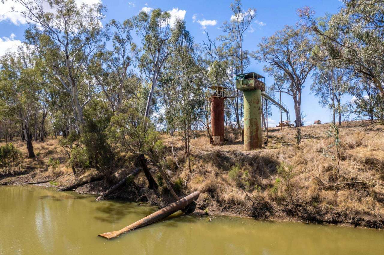 Kelinda, Moura For Sale by Farmbuy.com - image 21