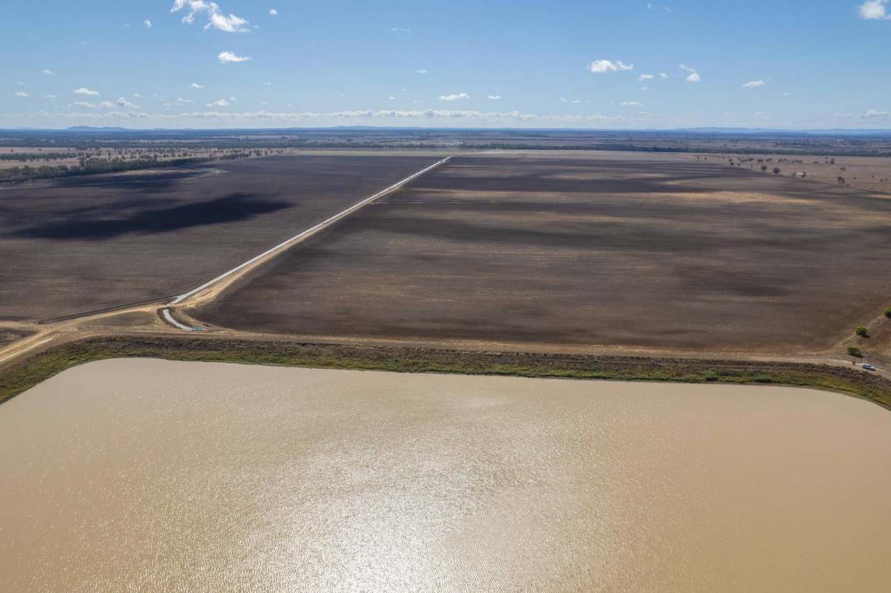 Kelinda, Moura For Sale by Farmbuy.com - image 20