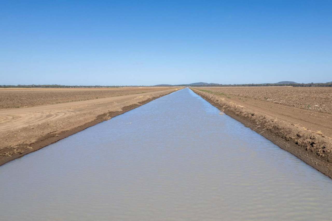 Kelinda, Moura For Sale by Farmbuy.com - image 18