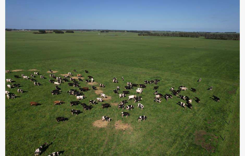 Address Upon Request, Simpson For Sale by Farmbuy.com - image 14