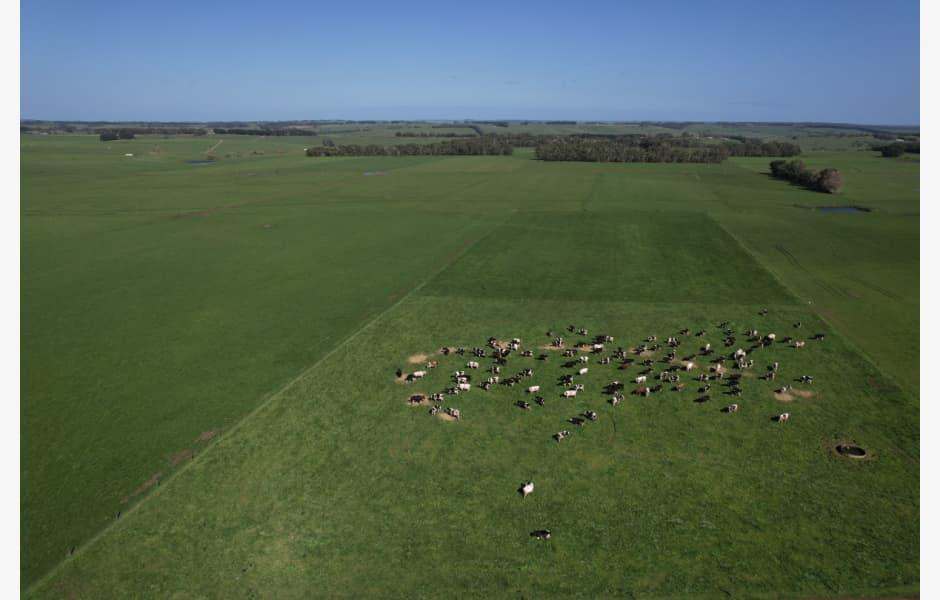 Address Upon Request, Simpson For Sale by Farmbuy.com - image 15