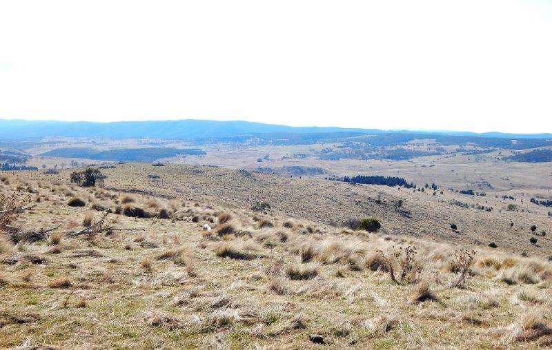 "Black Flat" Monaro Highway, Nimmitabel Sold by Farmbuy.com - image 2