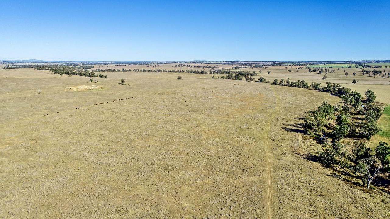 23r Mitchell Creek Road, Dubbo For Sale by Farmbuy.com - image 24