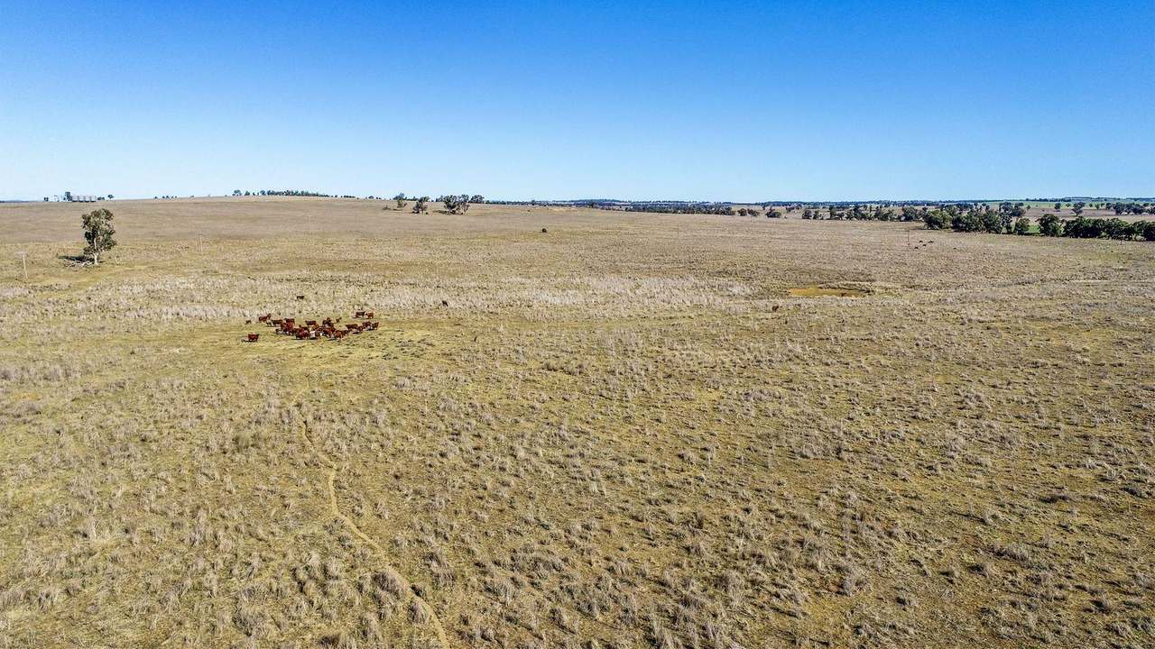 23r Mitchell Creek Road, Dubbo For Sale by Farmbuy.com - image 23