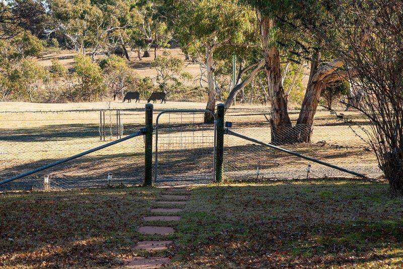 211 Bidgee Road, Cooma Sold by Farmbuy.com - image 19