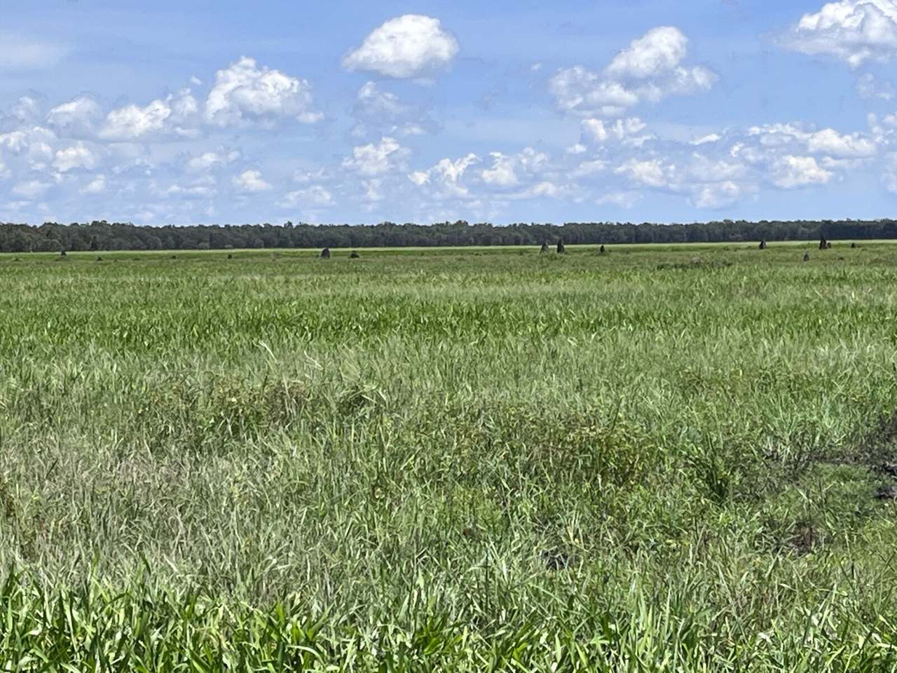Arnhem Highway  , Darwin Sold by Farmbuy.com - image 19