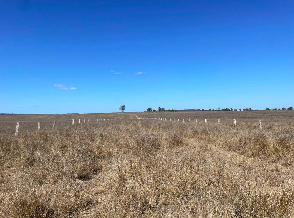 Fairweathers Road, Selene Queensland For Sale by Farmbuy.com - image 5