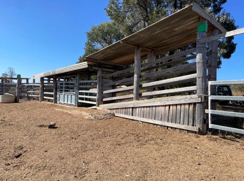 Fairweathers Road, Selene Queensland For Sale by Farmbuy.com - image 10