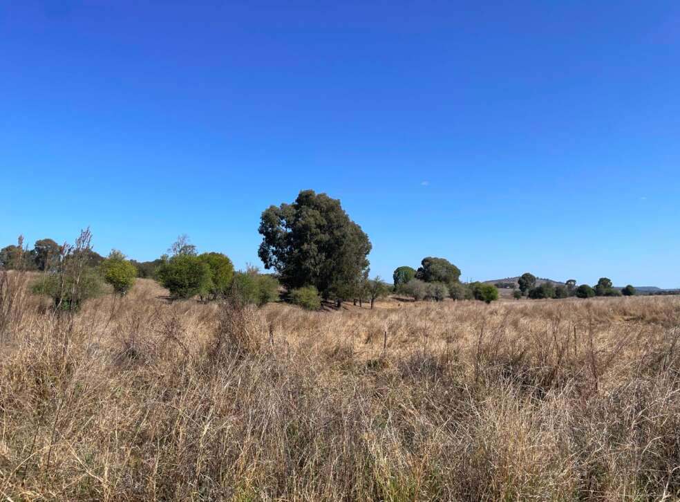 Fairweathers Road, Selene Queensland For Sale by Farmbuy.com - image 16