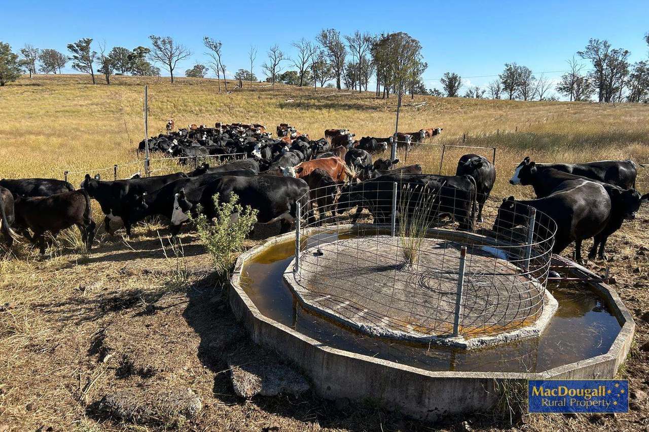 267 Inverinate Road, Armidale Sold by Farmbuy.com - image 10