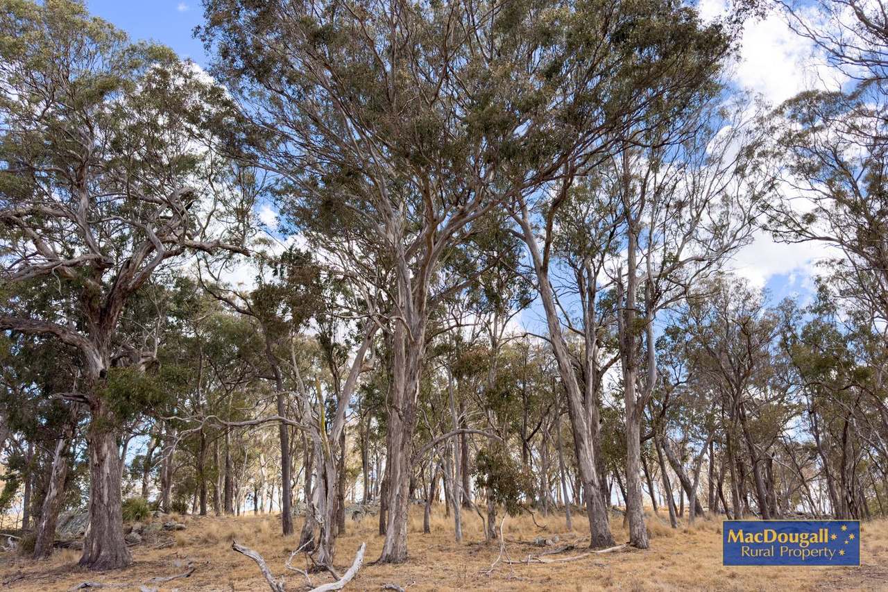 267 Inverinate Road, Armidale Sold by Farmbuy.com - image 39