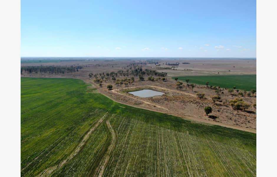 1115 Binya Lane, Mount Abundance Sold by Farmbuy.com - image 6