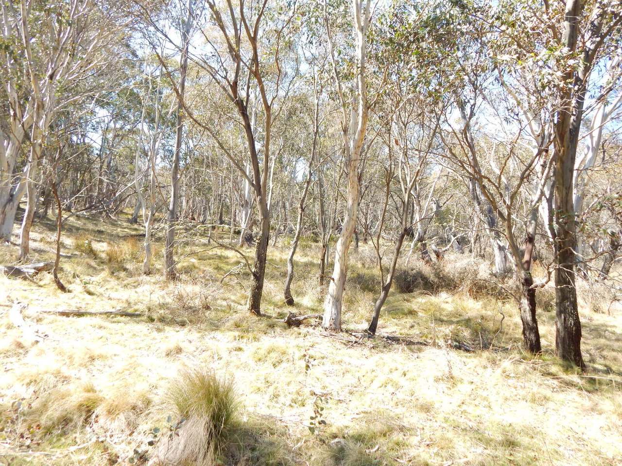 568 Yaouk Road, Shannons Flat Sold by Farmbuy.com - image 19