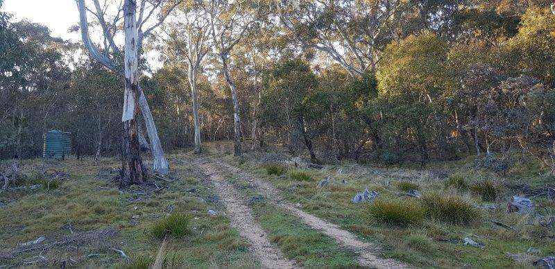 568 Yaouk Road, Shannons Flat Sold by Farmbuy.com - image 11