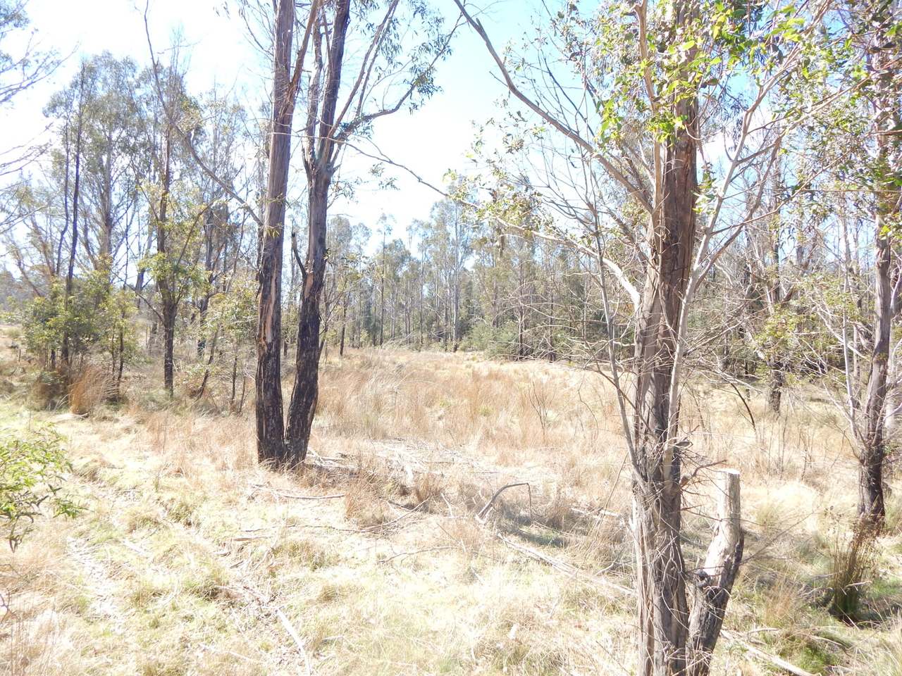 3758 Badja Road, Countegany Sold by Farmbuy.com - image 12
